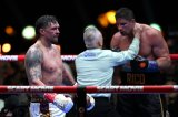 WBC визнав зупинку бою Усик-Верховен правильною