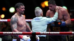 WBC признал остановку боя Усик – Верховен правильной