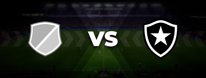 Насьональ Потоси — Ботафого. Прогноз на матч 19.02.2026